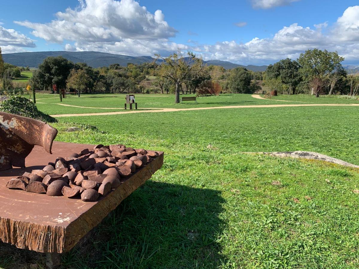 Casa Rural De Un Artista En Plena Naturaleza Piscina Y Parque De Esculturas En ビジャルカヨ エクステリア 写真